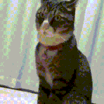 [EXO] 탱<b>저씨</b> 겨론했어?