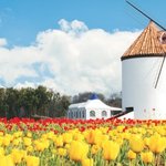 [댓글부탁해] 니들 <b>케이</b>팝 아이<b>돌</b>들이 실력이 넘사벽이라고 생각하냐...