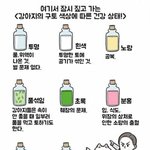 [모두드루와] 강아지의 구토 <b>색상</b>에 따른 건강 상태