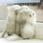 [댓글부탁해] 짝남한테 전화 걸었다는 쓰닌데