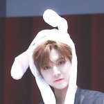 [조언부탁해] 야 나 전교 1등이거든