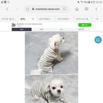 [댓글부탁해] 얘들아 무슨옷이 젤 이뻐?????