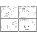 너네 <b>상비</b>가 나아 하비가 나아?