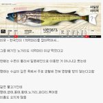 [모두드루와] 한국인이 <b>멸종</b>시키고 있는 물고기