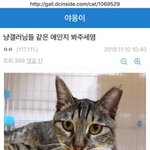 [드루와] 김용국 고양이 유기사건(+회사피드백추가++본인 자필 사과문