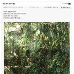 [모두드루와] 구글도 인정하는 <b>열대</b>우림