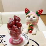 [댓글부탁해] 중3 수학 <b>예습</b> 추반해주면 시험 개잘봄