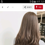 곧 성인되는데 나중에 염색할 색 골라주랑