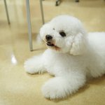 나 돈 <b>모아</b>놓은거