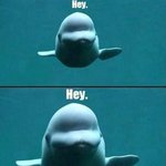 미친 야 노래방 난리났어 <b>술병</b>