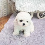 내동생 조카 시무룩함 ㅋㅋㅋㅋㅋ