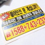 <b>레드</b><b>오렌지</b> 틴트