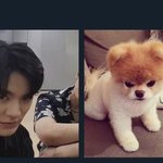 [NCT] 포기는 <b>배추</b> 셀 때나 쓰는 말이다....