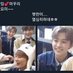 [NCT] 엔시티 웃짤 <b>모아</b>봄 ㅎㅎ 8탄
