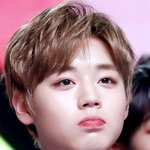 타팬인데 요즘 박지훈