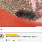 [드루와] 아 ㅈㄴ<b>유</b><b>툽</b>댓글 개웃김ㅋㅋㅋㅋㅋㅋㅋ