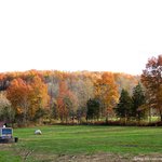 [40075] 30대 아재가 만든 포터하우스 스테이크