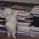 야 다<b>들</b> 시험<b>왜</b>이렇게 빨리침??