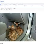 진짜 이<b>여서</b> 아니<b>여서</b> 이예요 에요 쓰는 애들 뭐냐;;