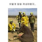 [댓글부탁해] 아이폰8 <b>Vs</b> 아이폰8+