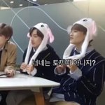 [NCT] 마크 <b>토끼띠</b>도 알아?