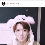 [EXO] 야 세훈이 토끼<b>모자</b>떴어ㅜㅜㅜ 졸귀ㅜㅜ