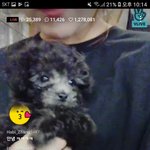 여자친구 새멤버 <b>영입</b>함