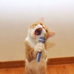 쿠기는 뉴스쿨<b>리더</b>