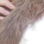 패딩 라쿤털 ㅈㄴ부드러움 희열감듬