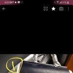 [꼭조언부탁] 삼성패션 SSF몰 빈폴가방 샀다가 억울한 일 당했어요...