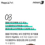 길가다 <b>로드킬</b> 당한 동물 보시면 꼭 신고해주세요