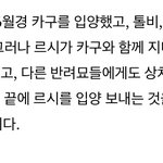 김용국 진짜 또ㅡ라이 아니냐ㅋㅋㅋㅋㅋ