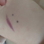 수(상)50일만에 개념<b>원리</b>끝내기가능?
