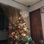 [댓글부탁해] 얘들아 ㅠㅠ 나 벌써 크리스마스 <b>트리</b> 꾸몄엉