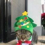 [댓글부탁해] 일기장) 라라<b>블라</b>에서 화장품 사야될거 목록!!!