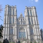 경희대 캠 조카이쁘다