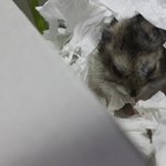 에얼리언 5편의 시작 <b>북문</b>이의 !!