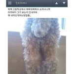 [드루와] 초딩때 <b>뚱뚱</b>한 <b>여자</b>애들 특징