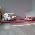 나의 동거묘 <b>도칠</b>이 귀여운 모습들..