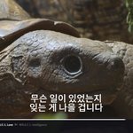 [ㅋㅋㅋㅋㅋ] 나 멜론 정기결제끊겨서 내가 <b>녹음</b>한거 들음ㅋㅋㅋㅋㅋ
