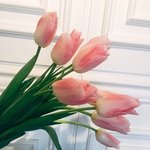 수능 <b>전날</b> 저녁에 마카롱 주는거
