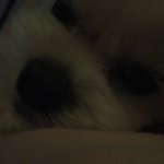[드루와] <b>유딩때</b> 친했던 남사친한테 카톡 뭐라고 보내지 ㅠㅠ??