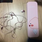 [댓글부탁해] 어피치 <b>필통</b> 샀는데 어때