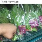 [드루와] 집 <b>와이파이</b>가 갑자기 안 돼...