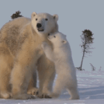 [댓글부탁해] <b>외투</b> 여러개인 애들 보면 무슨생각들어?