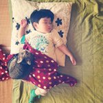 냥이가 <b>아가</b>를 만나면...
