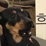 [댓글부탁해] 재밋는 <b>TMI</b>시간~