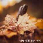 [좋은글귀] <b>낙엽</b>에게 주는 편지