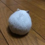 동생이 방금 친구 데리고 왔는데