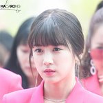 너무 예쁜 인간 <b>바니</b>들